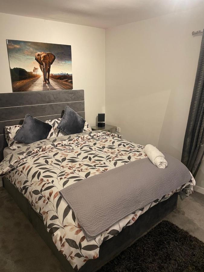 Fantastic Full 3 Bedroom Modern Apartment 벨파스트 외부 사진